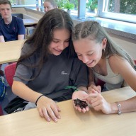 Was krabbelt denn da im Klassenzimmer?