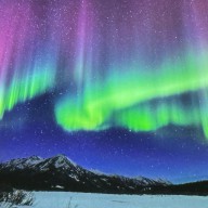 Abenteuer Alaska – ein cooler Vortrag über die letzte Wildnis